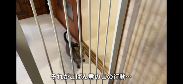 狙いをつける