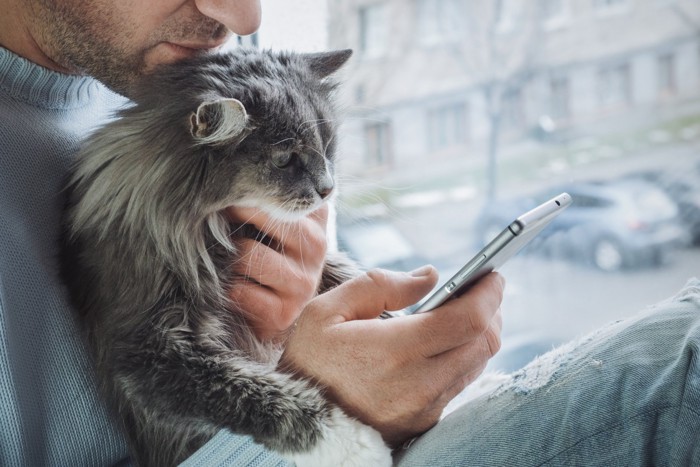 スマホで検索する男性と猫