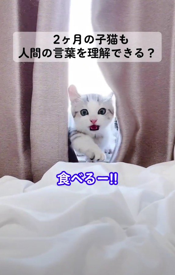 こちらへ向かってくるレビンちゃん