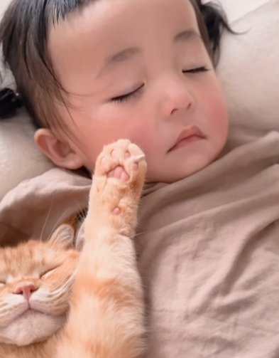 ばんざいする猫と子供のアップ