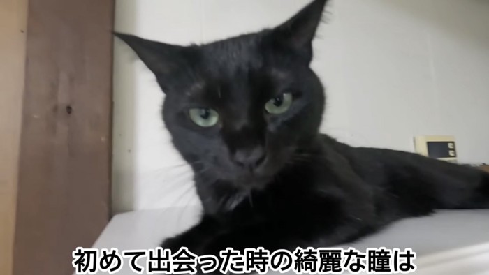 「初めて出会った時の...」のテロップ写真