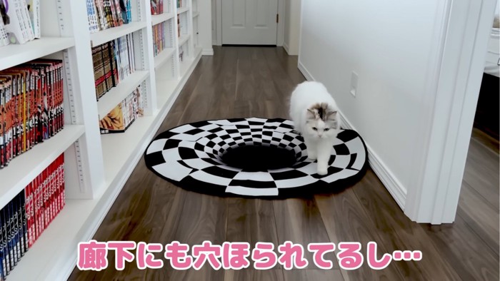 廊下の穴を避けて通るつくしちゃん