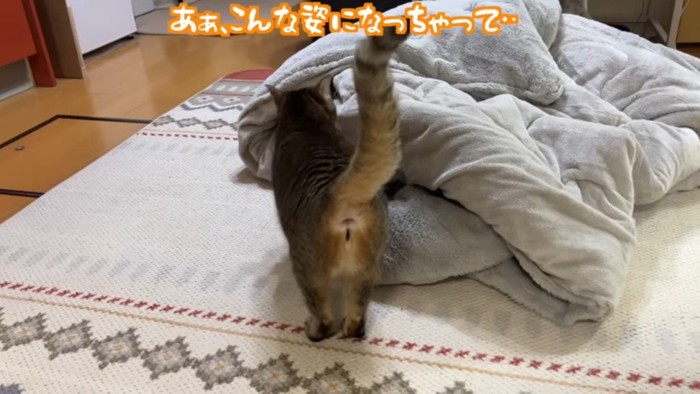 後ろ姿