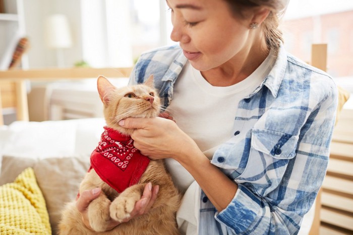 バンダナをした猫と女性