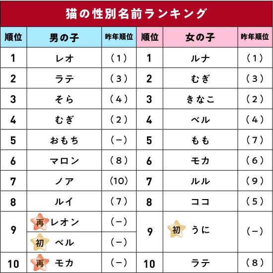 猫の性別名前ランキング