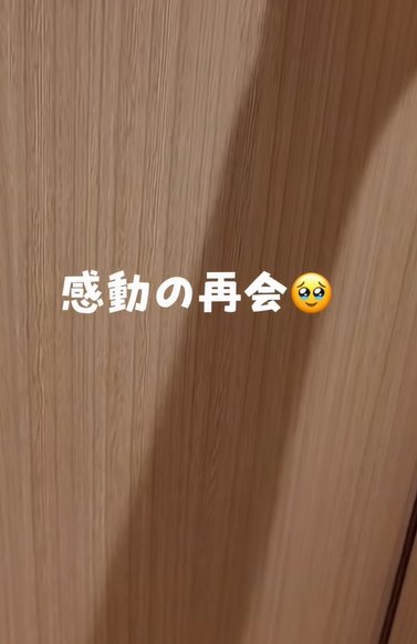 ドア(感動の再会)