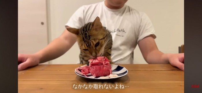 肉ケーキ