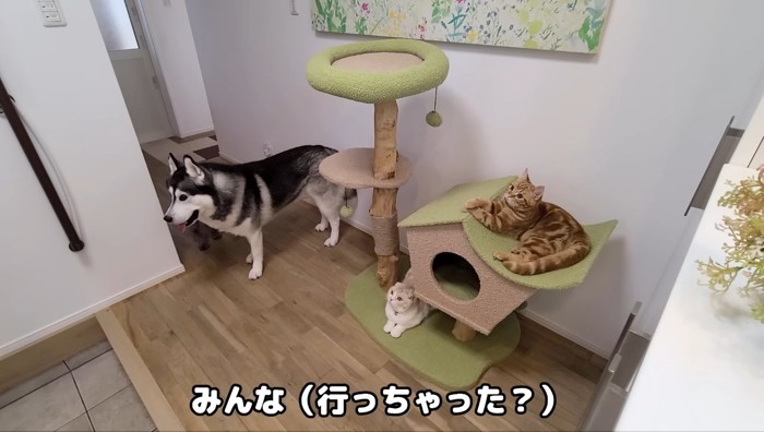 行っちゃった?