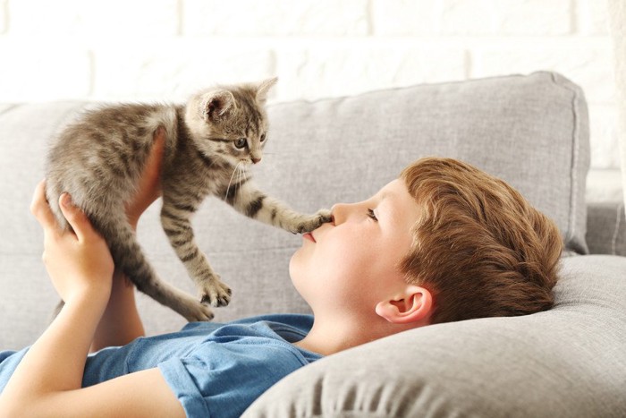 子猫を抱く少年