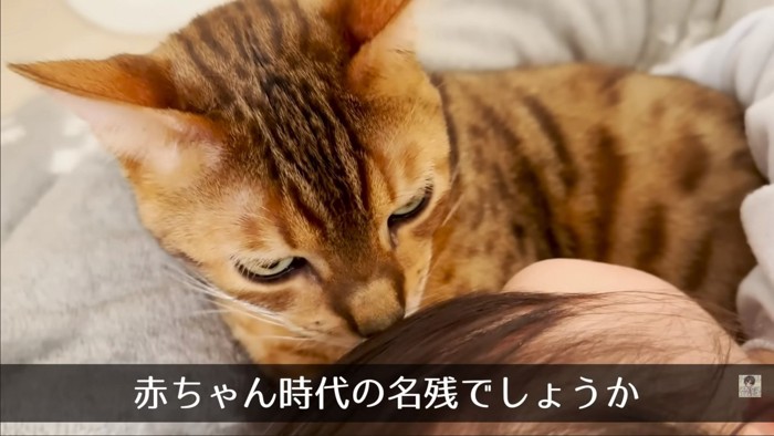 猫にキス