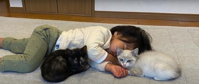 女の子と2匹の子猫