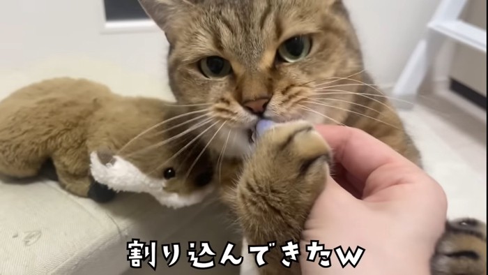 割り込んで