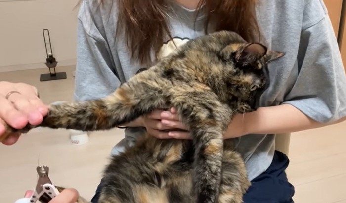 猫の様子
