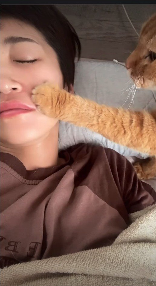 飼い主の顔に前足をかけて起こす猫
