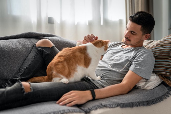 ソファーでくつろぐ飼い主の上に乗る猫