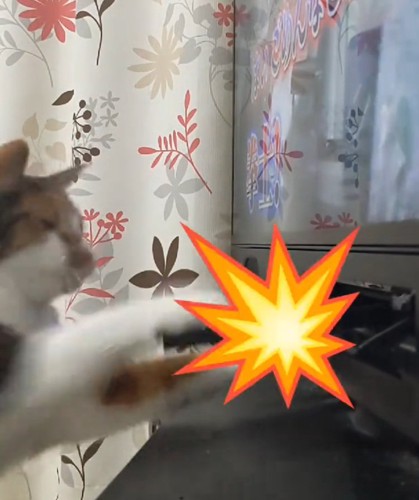 2回目の猫パンチをする猫