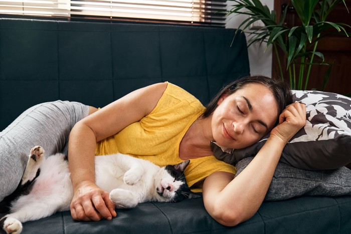 ヘソ天して女性と一緒に眠る猫