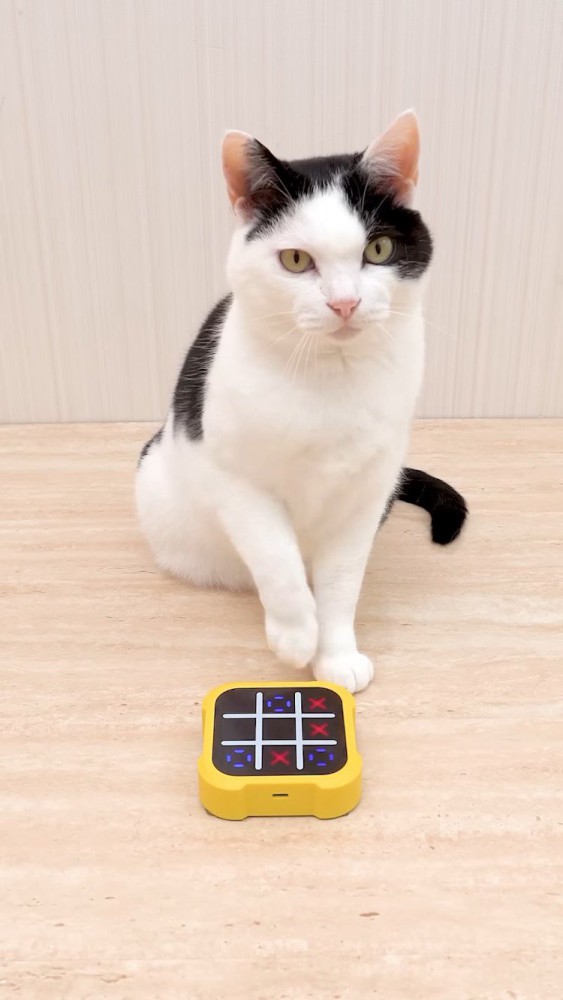 マルバツゲームをする牛柄猫