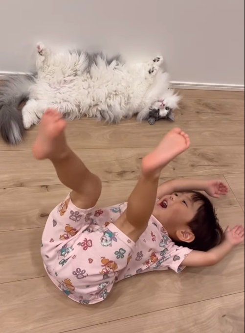 ひっくりかえる猫と幼児3