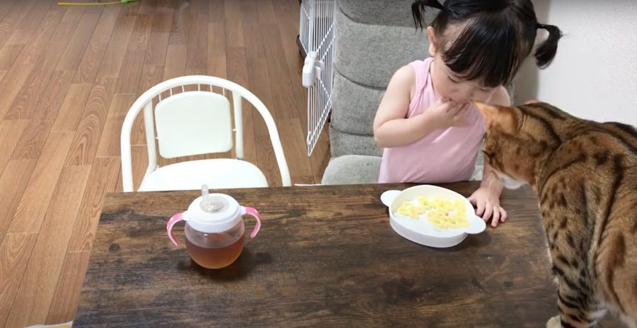 おやつを食べる子供と猫