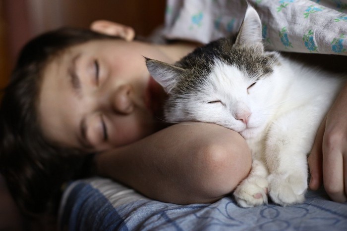 飼い主と添い寝する猫