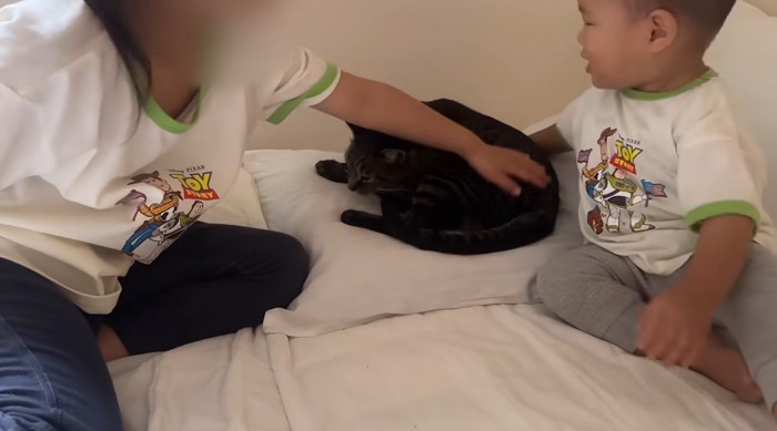 ベッドの上にいる子供と猫