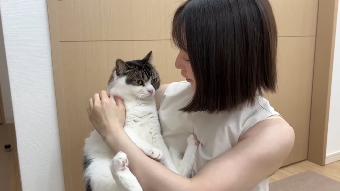 抱っこされる猫