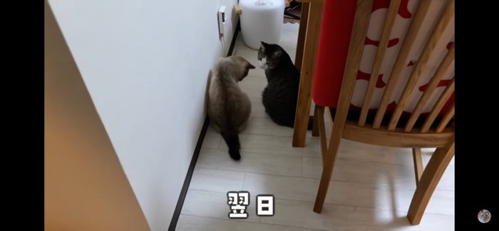 翌日