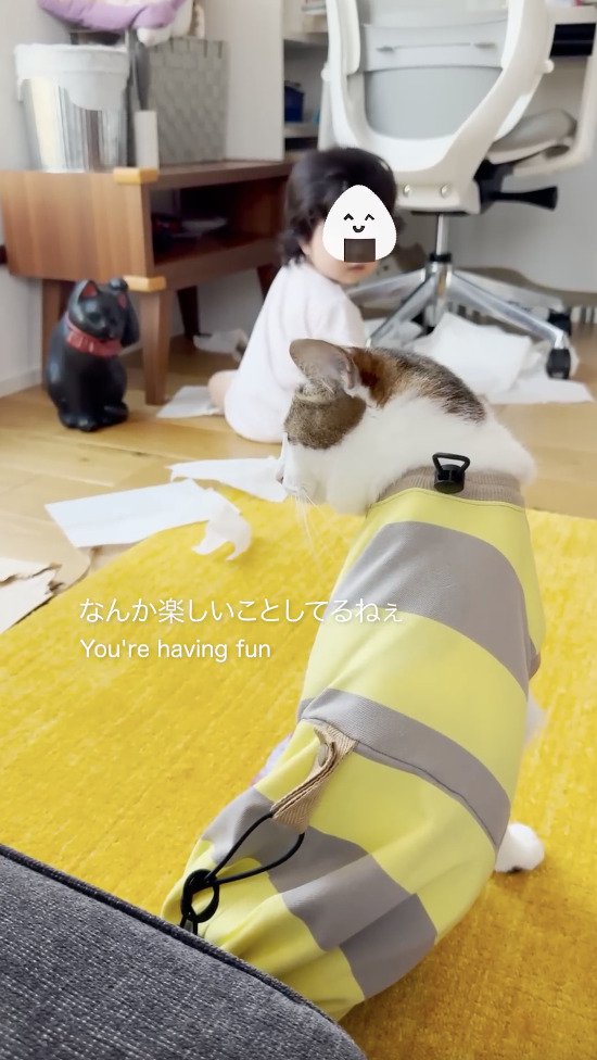 ティッシュで遊ぶ赤ちゃんを眺める猫