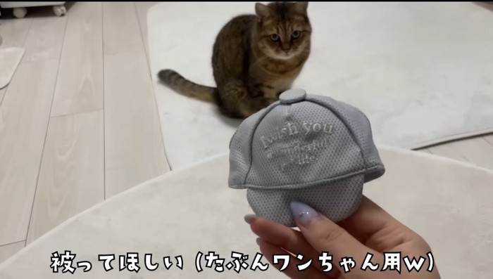 被ってほしい