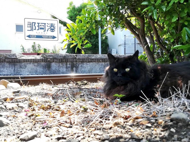 那珂湊の駅看板とおさむ