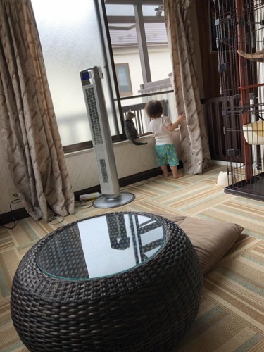 窓辺の女の子と猫