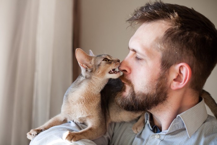 男性の鼻を噛む猫