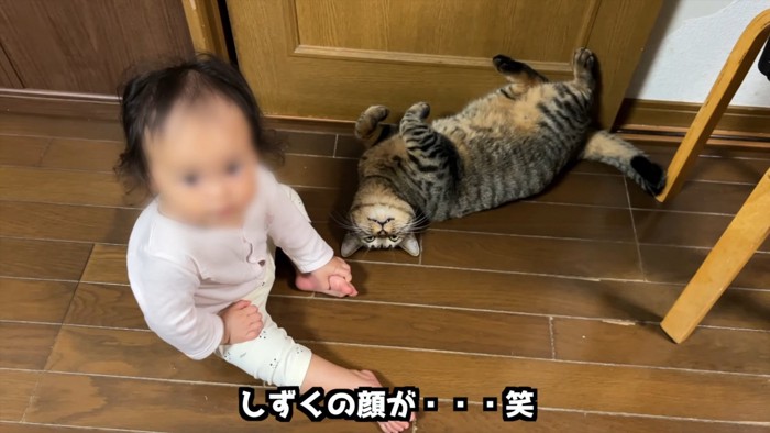 仰向けになる猫と自分の足を掴む赤ちゃん