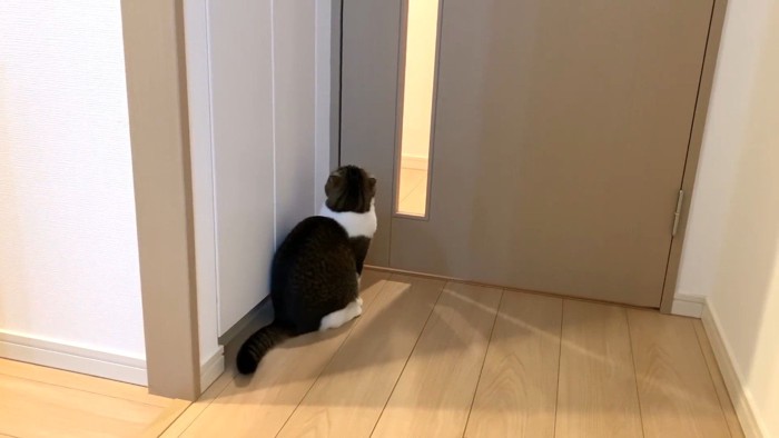 ドアの前で待機