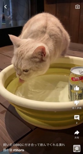 水を飲む