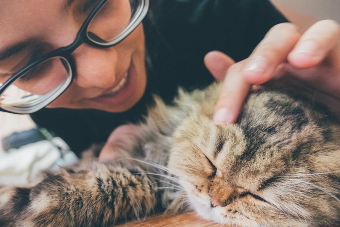 気持ちよく寝ている猫にちょっかいを出す女性