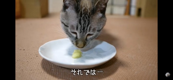 実食