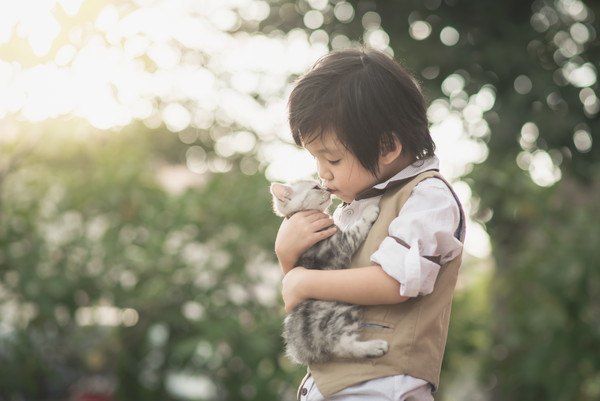 子どもに抱っこされる子猫