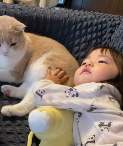 猫のお尻を触りながら寛ぐ子供