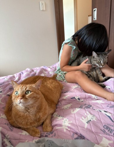 猫吸いされる猫と順番待ちの猫