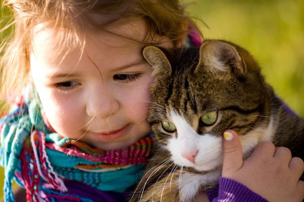 子供に抱っこされる猫