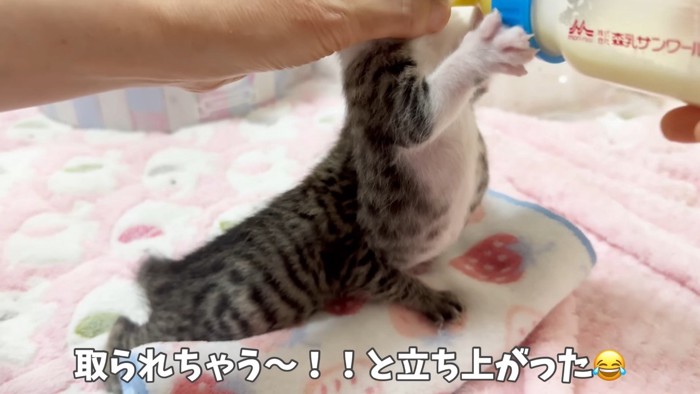 取られちゃう〜！！