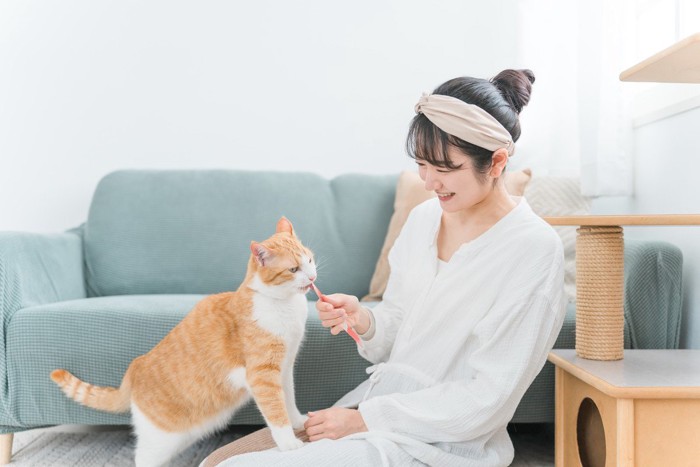 猫におやつを与える女性