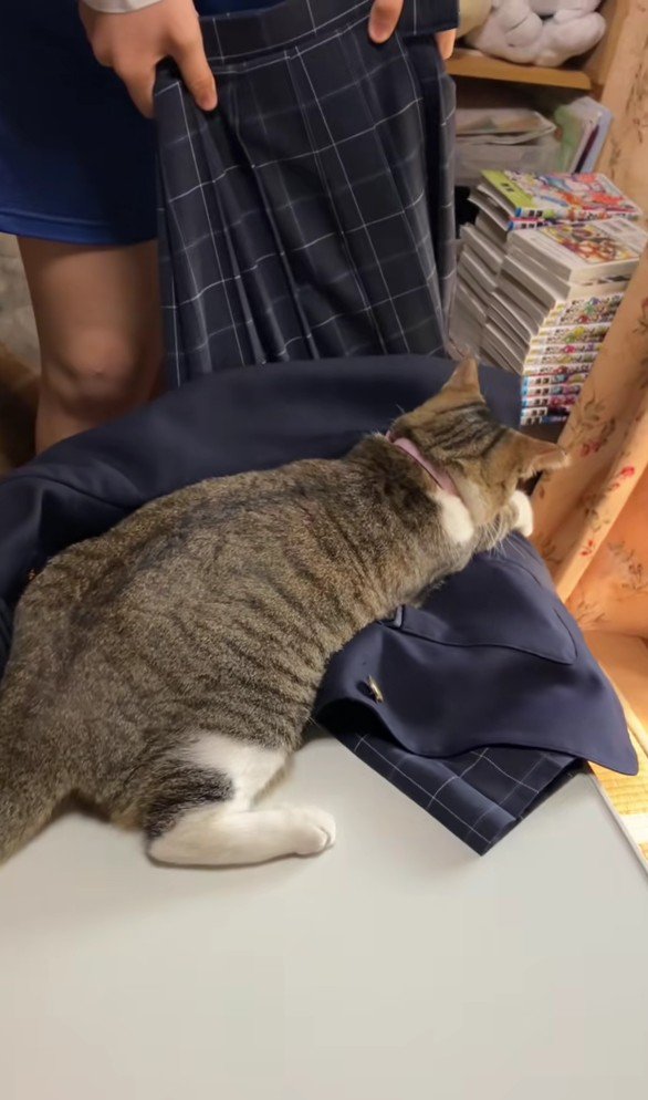 制服を押さえ込む猫