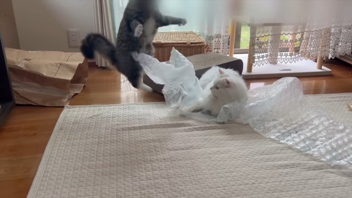 ジャンプ