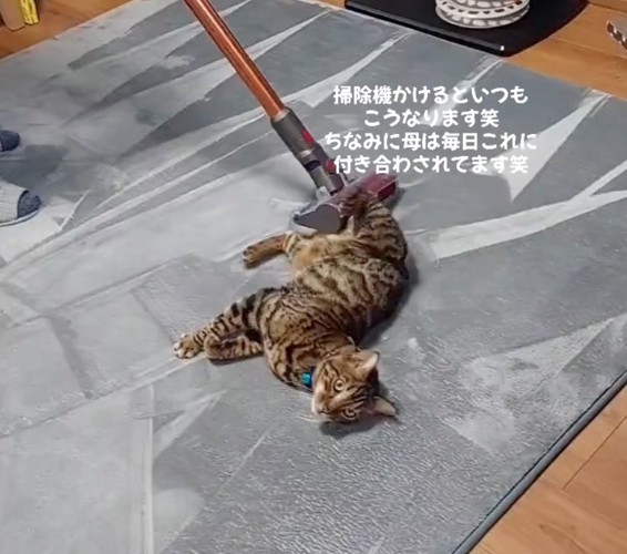 お股を掃除機がけ