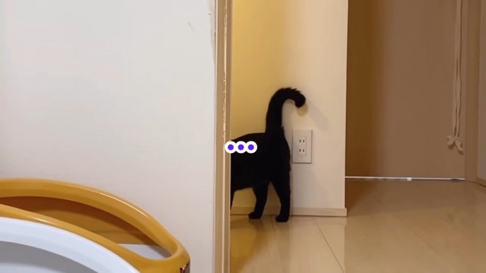 黒猫のお尻