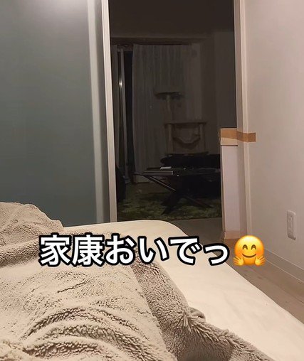 飼い猫を呼ぶ