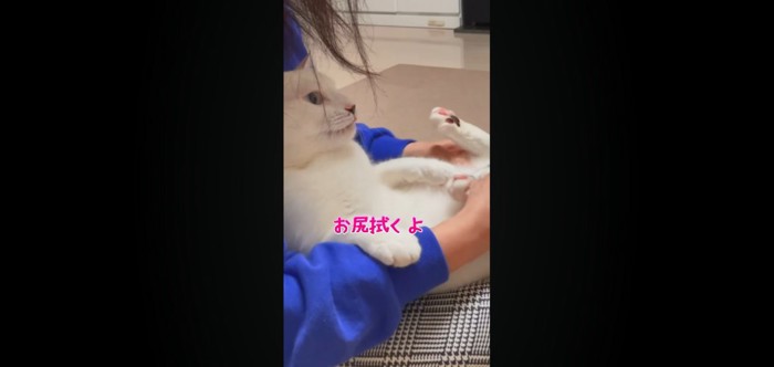 お尻拭くよ